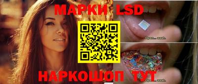 мяу мяу мука Кандалакша