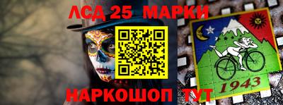 индика Камышлов