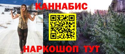 индика Камышлов