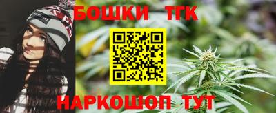 индика Камышлов