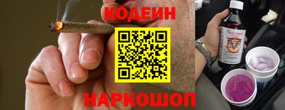 индика Камышлов