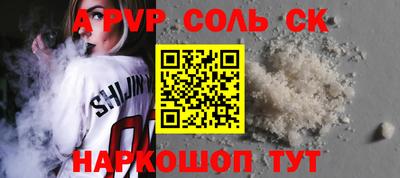 индика Камышлов