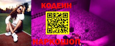 индика Камышлов